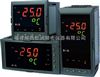 NHR-1300/1340系列虹润傻瓜式模糊PID调节器/程序控制调节器