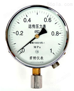 YTW-150 耐温压力表