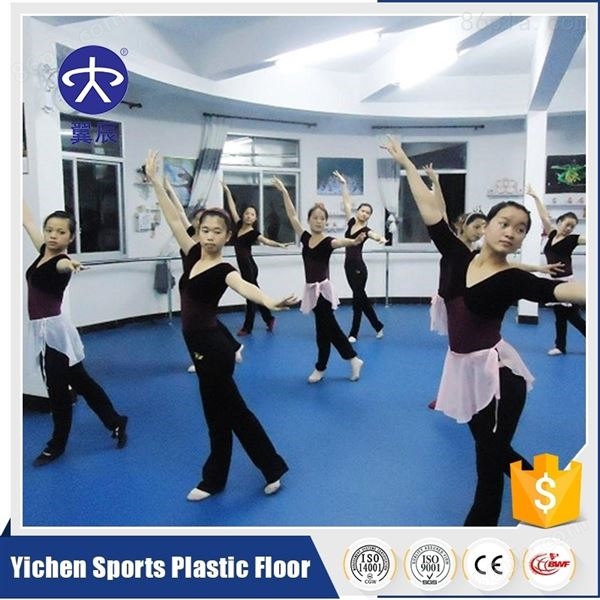 舞蹈房PVC塑胶地板一平方米价格