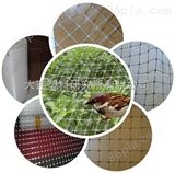 DSY7塑料防鸟防虫网、双拉网、加强筋网、植物攀藤网、三维植被基网生产设备